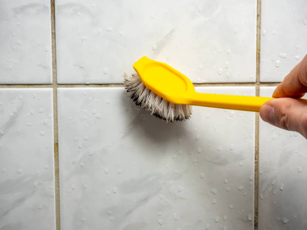 Best Bathroom Mold Remediation in Riesel, TX