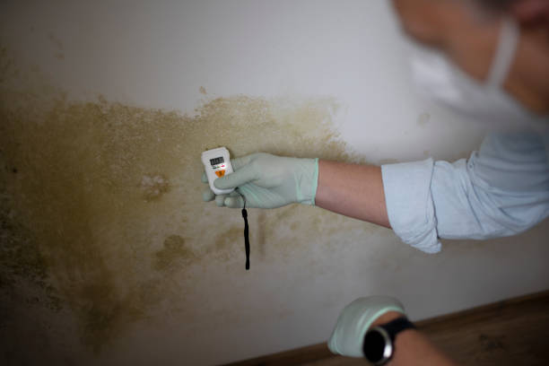 Best Post-Remediation Services in Riesel, TX